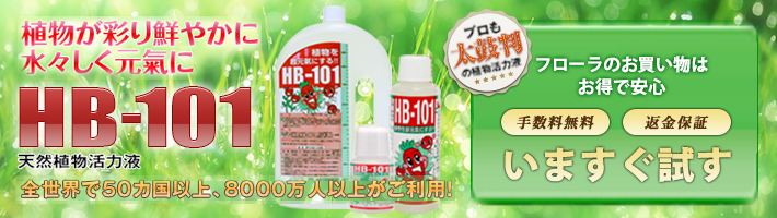 植物が彩りよく豊かに｜HB-101