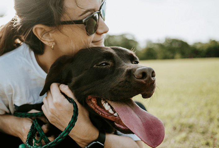 犬が夜泣きする時にできることは？