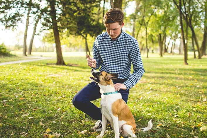 犬が言うことを聞かない時期の正しい接し方