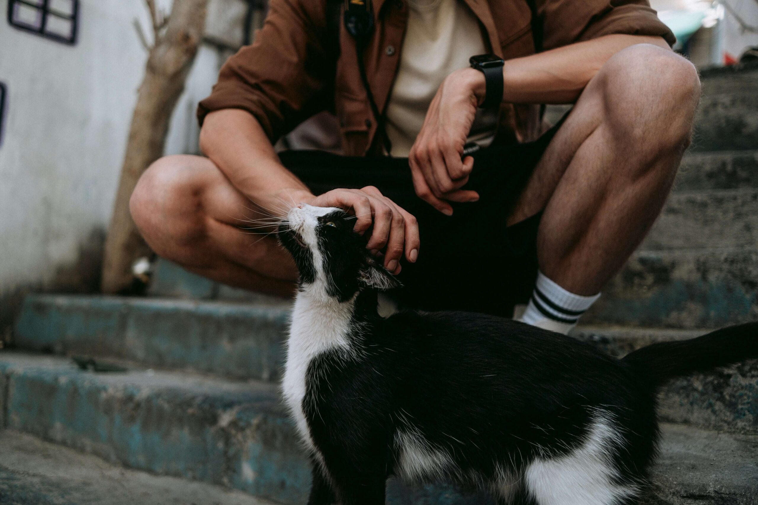 注意すべき「すりすり」の違和感