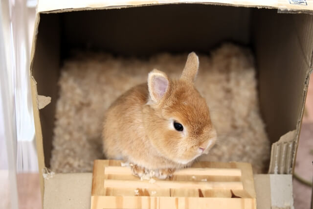 2.使っているトイレの場所を変える