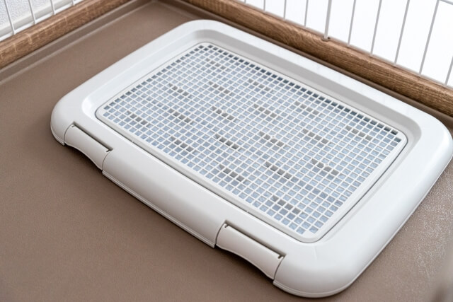 3.トイレはこまめに清掃する