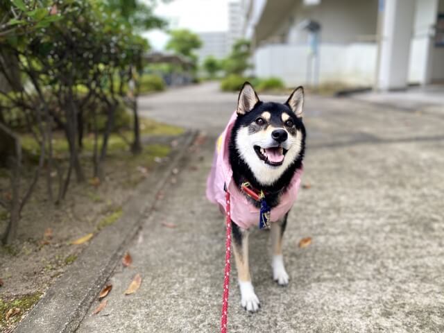 4.濡れたまま放置しない