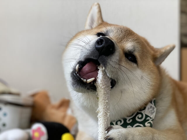 5.口や耳のケアをする