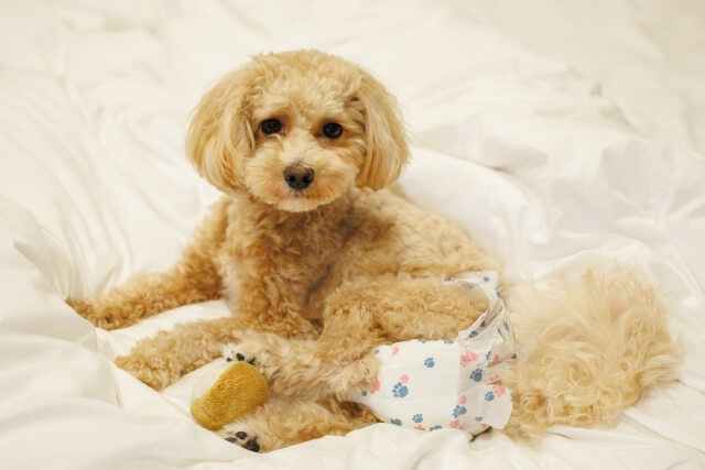 消臭のしすぎには注意が必要