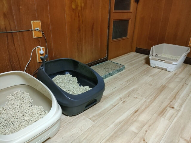 3.トイレケースも洗う