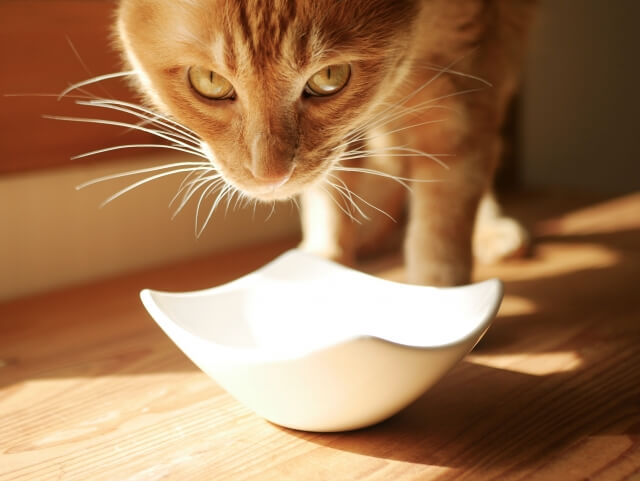 4.食べている時の姿勢が悪い