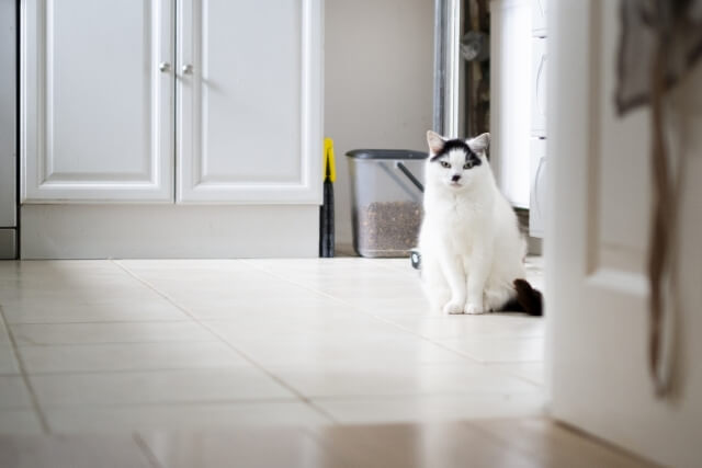 2.エサの回数を増やす