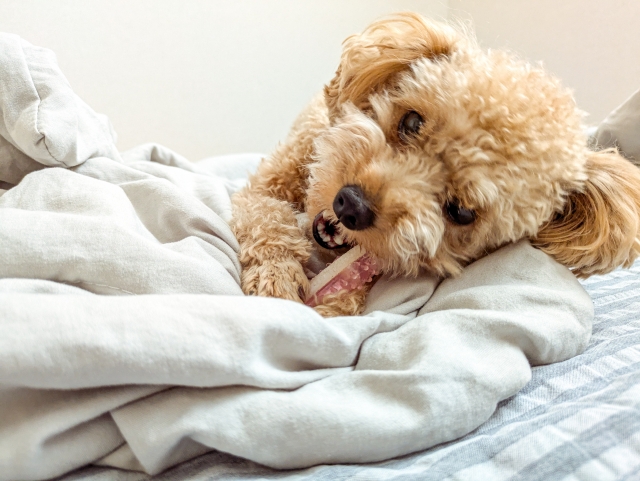 2.ケア用品を取り入れる