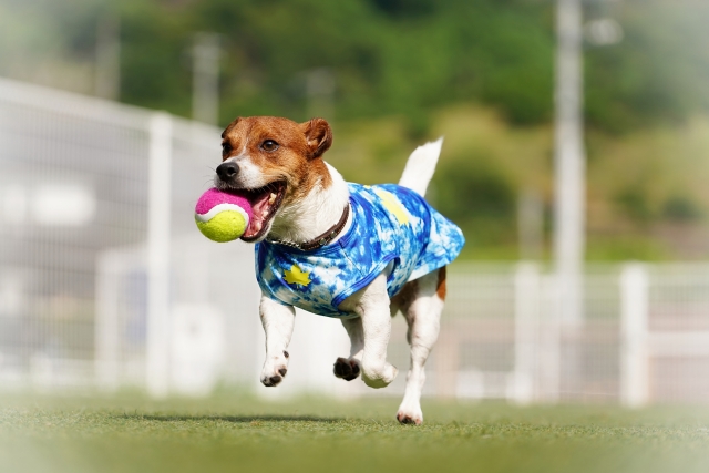 5.運動不足を解消させる