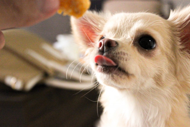 3.フードを変える