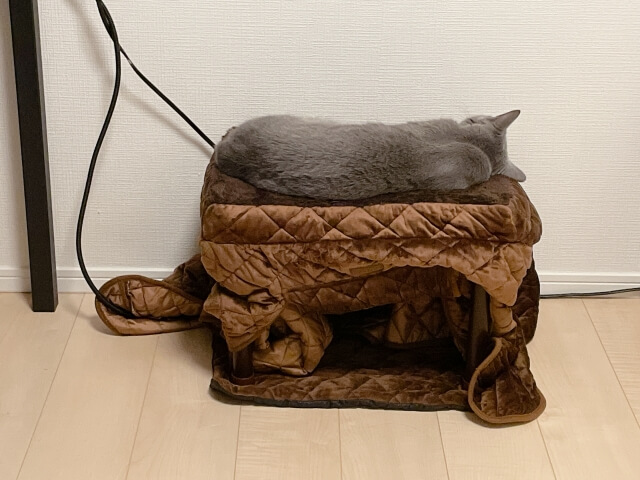 手作りで作れる！猫にやさしいこたつ風スペース