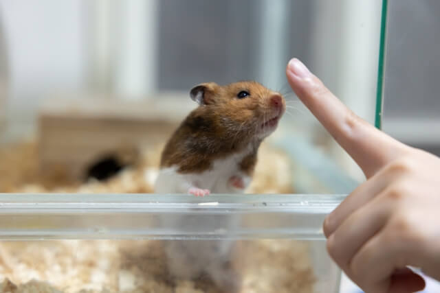 習性を利用した「トイレの場所」の決め方