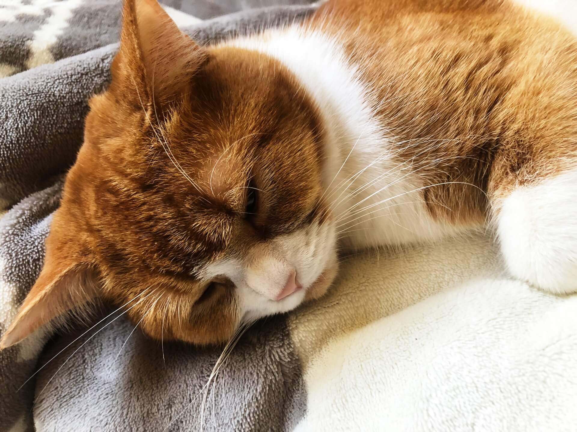 他に考えられる病気とは?