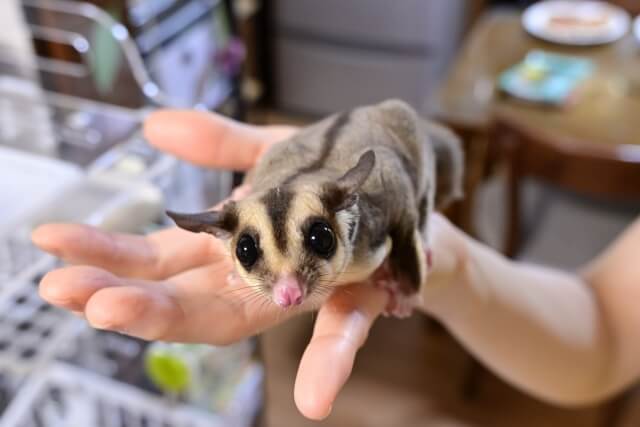 健やかな一生を支える「食事」と「環境」の黄金バランス