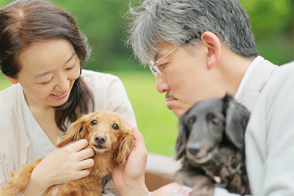飼い主がしてあげられること