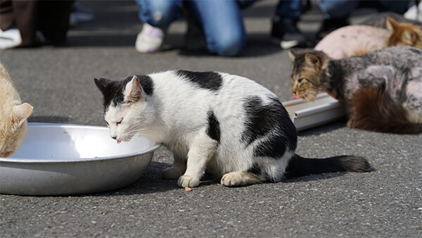 脱水症状の確認方法